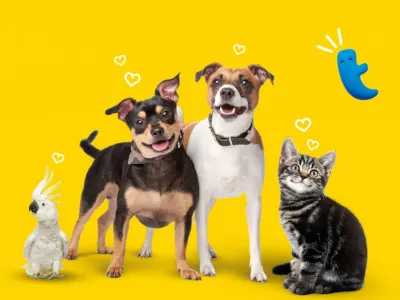 Com a Petz o seu bichinho de estimação é muito bem cuidado!