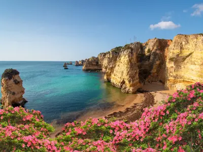 buy alt Voe Tap em Tap Air Portugal