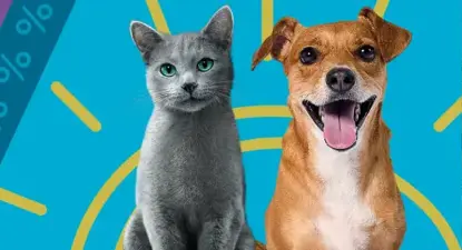 PetYard  -  4% Cashback