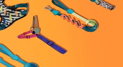 ZeeDog -  2% Cashback