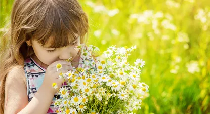 Fábula -  3% Cashback