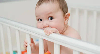 Abra Cadabra -  1.5% Cashback