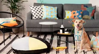 Tok&Stok -  2% Cashback